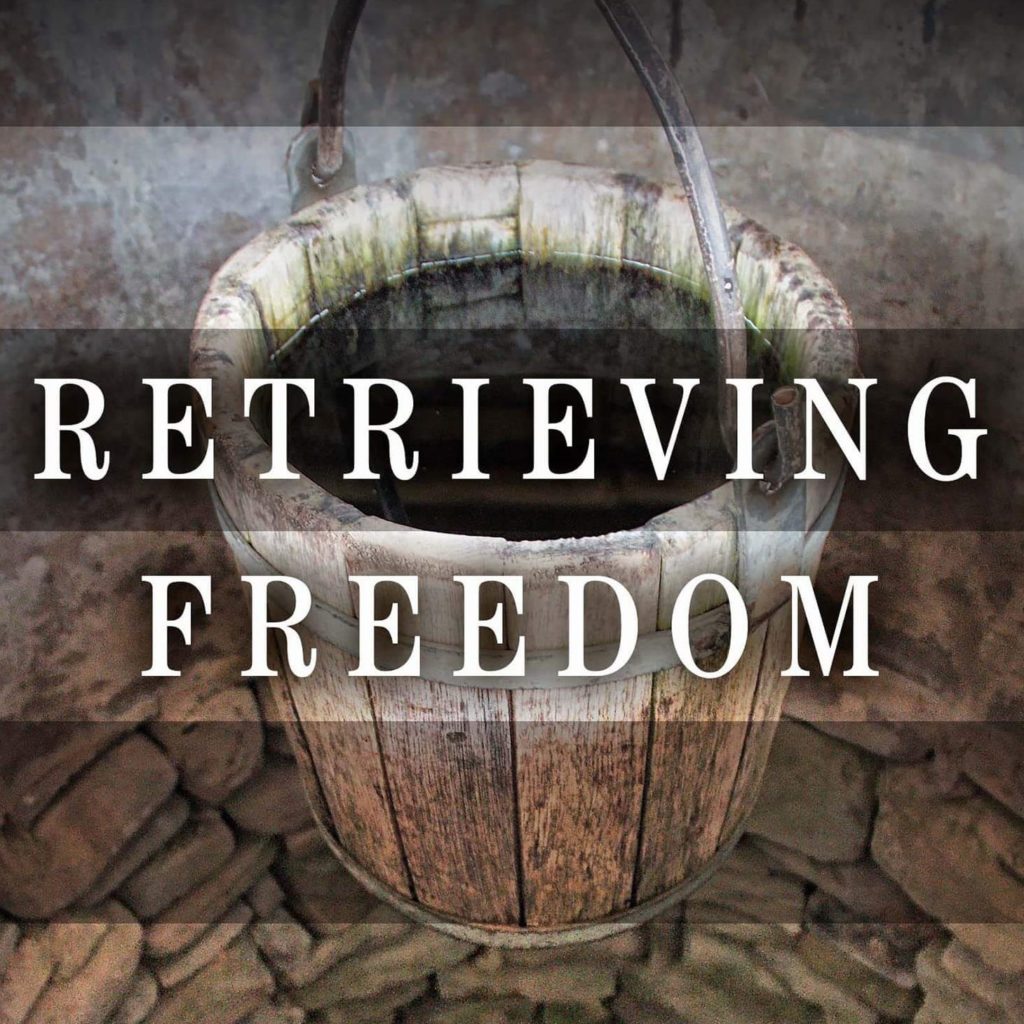 Retrieving Freedom partial book cover