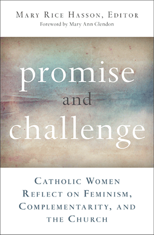 Promise and Challenge bookcover